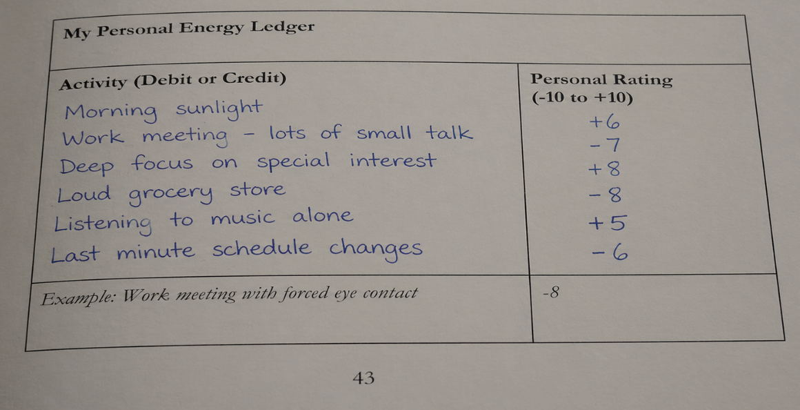 Page 43 of the printed workbook: My Personal Energy Ledger, filled in by hand. Morning sunlight, plus six. Work meeting with small talk, minus seven. Deep focus on a special interest, plus eight. Loud grocery store, minus eight.